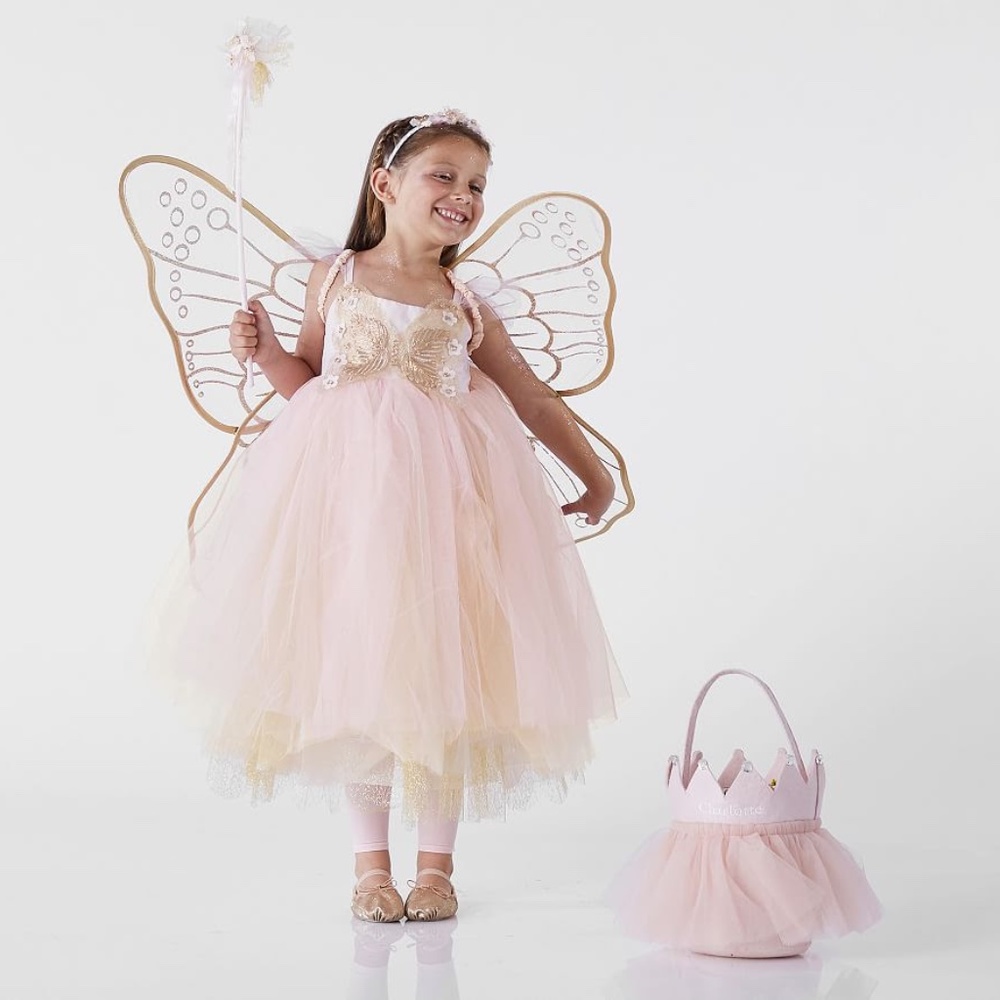 Pottery Barn butterfly fairy Birthday dress Size 4-6 years old